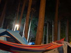 -武陵山森林公园