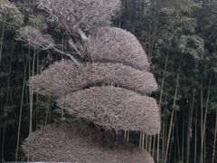 -苏州河梦清园环保主题公园