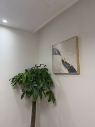 -天津伊美尔医疗整形美容专科医院
