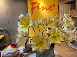 -FineYoga梵音瑜伽·普拉提