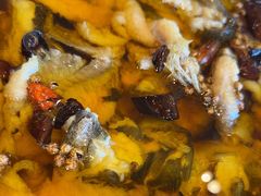 -川旺角川粤融合菜•海景餐厅(星海广场店)