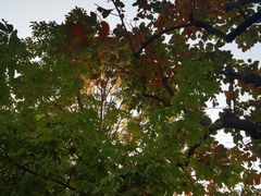 -北京石刻艺术博物馆(五塔寺)
