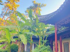 -秋霞圃