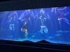 -华夏文旅海洋公园