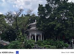 -荔湾湖公园