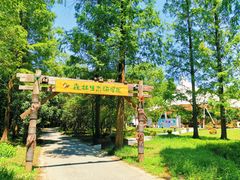 -东平国家森林公园