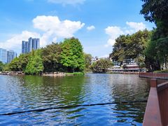 -荔湾湖公园