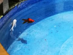 -独克宗花巷
