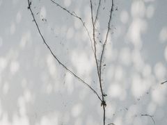 -南京民俗博物馆(甘熙故居)