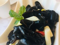 -金蝉食府(维吉奥广场店)