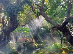 -Chom Cafe and Restaurant