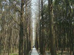 -同里国家湿地公园