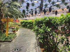 -天宫南铂玫瑰园酒店