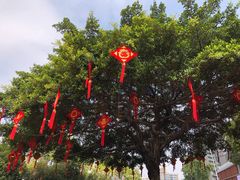 -无影脚佛山陈氏盲公丸始创店(飞鸿街店)