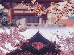 -西安青龙寺遗址景区