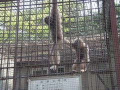 -保定市动物园