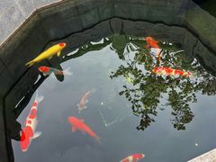 -西安市广仁寺