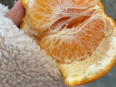 -西郊国际农产品交易中心