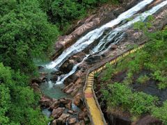 -广州白江湖森林公园