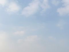 -小茶闲舍·观景商务茶馆(广州塔店)