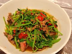 -壹盏灯(惠农店)