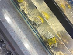 -圣罗巴海鲜自助(黑金店)
