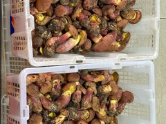 -双喜农庄·菌香园(安居家园店)