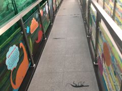 -中国第四纪冰川遗迹陈列馆