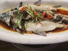-醉美东江·三文鱼·烧鸡公