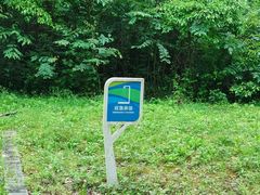 -昆山城市生态森林公园