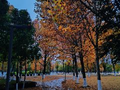 -重庆中央公园(渝北区)