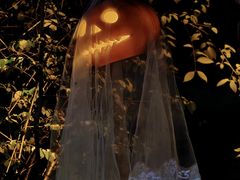 -郑州方特梦幻王国