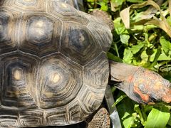 -鄂尔多斯野生动物园