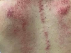 -道合堂·中式按摩·spa(民治店)