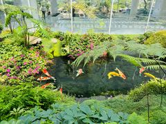 -罗红摄影艺术馆