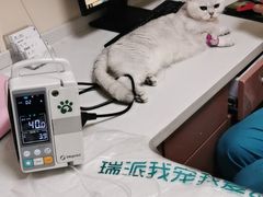 -瑞派宠物医院·24h·骨外科·皮肤科·全科宠物医疗转诊中心(沈阳浑南院)