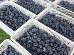 -南坛综合农贸市场