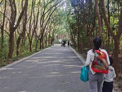 -同里国家湿地公园