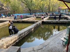 -双新垂钓园