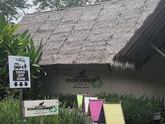-大象粑粑造纸公园
