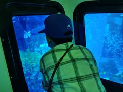 -成都浩海立方海洋公园