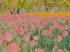 -长春公园(普阳街道)