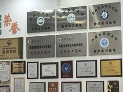 -派美特宠物医院·核磁CT·骨科肿瘤·疑难转诊(沈农禾丰店)