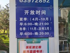 -莲花池公园