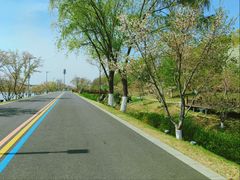 -羊山湖公园