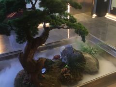 -俏江南天津时尚曲艺主题餐厅(马场道店)
