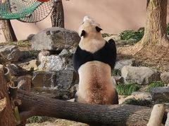 -杭州动物园