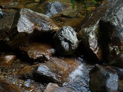 -花岩国家森林公园