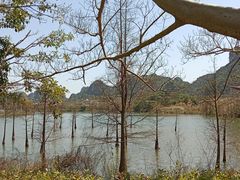 -南宁花花大世界景区