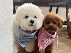 -纳吉亚猫专科动物诊疗中心(蒋宅口分院)